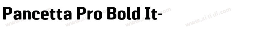 Pancetta Pro Bold It字体转换